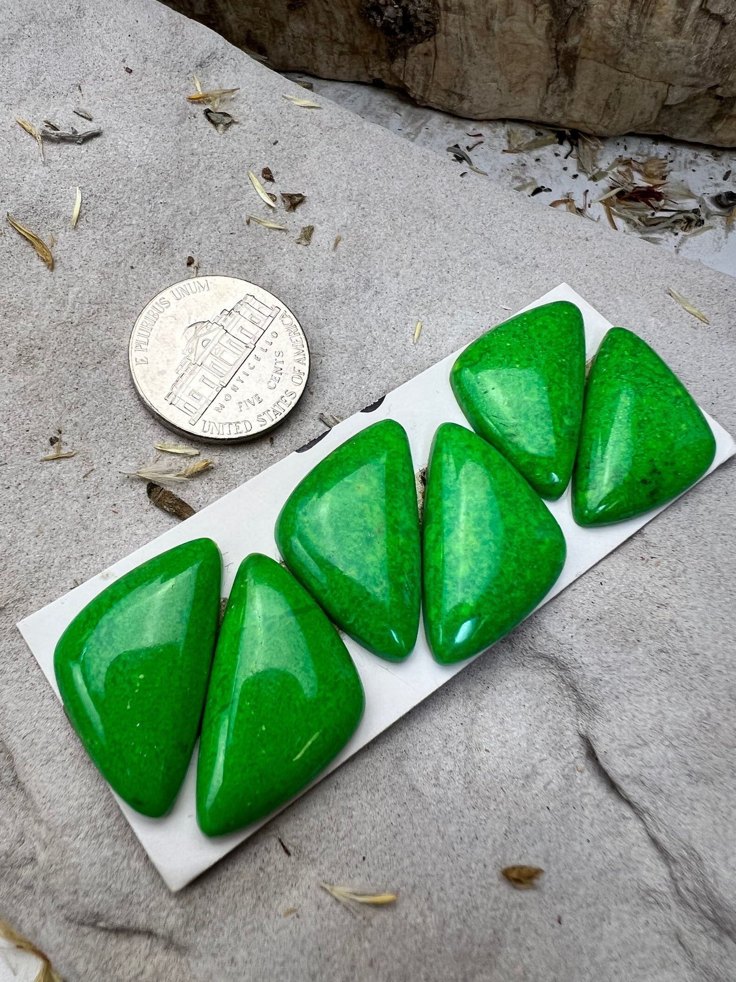 Mojave Green Cabs