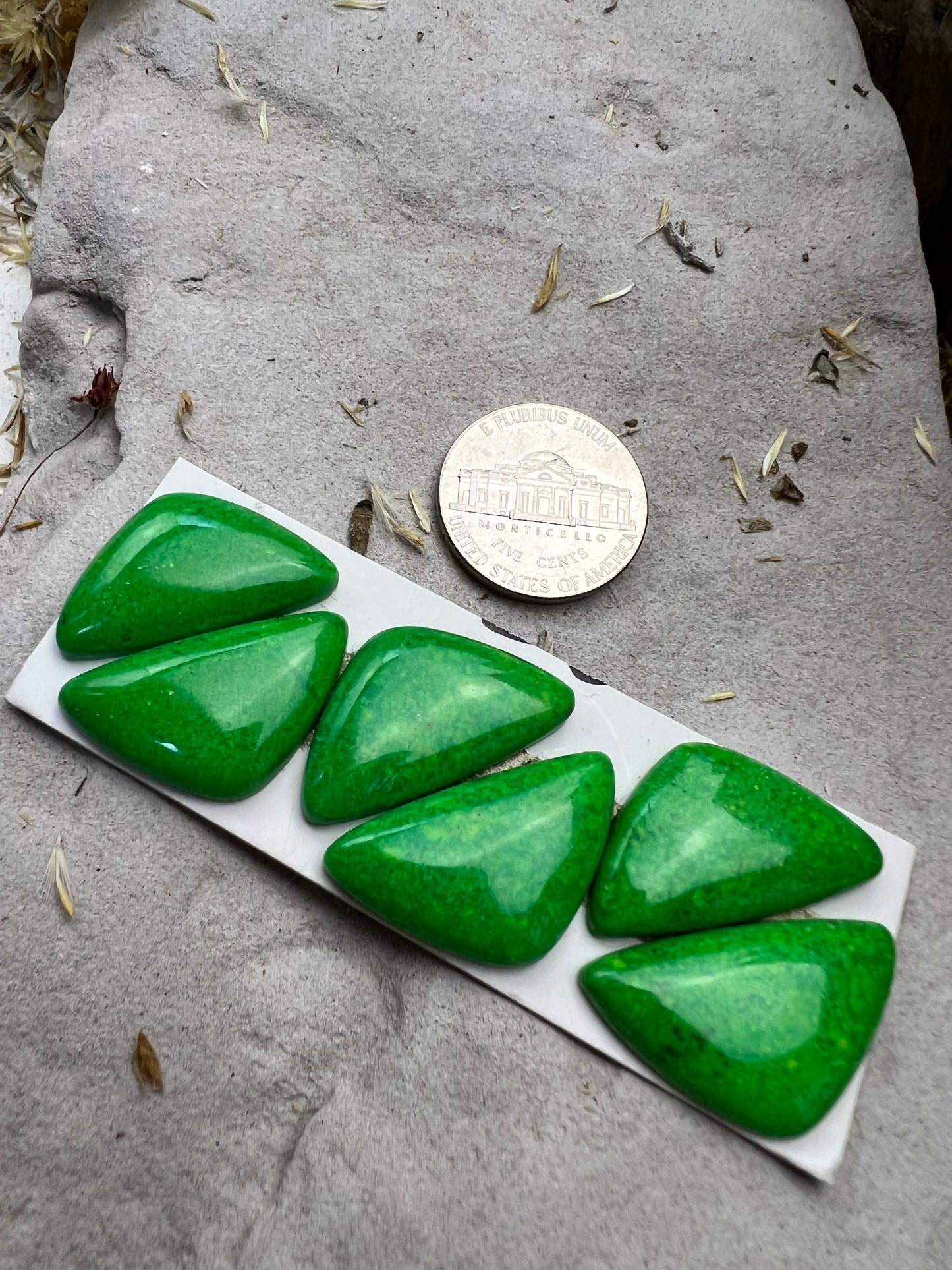 Mojave Green Cabs