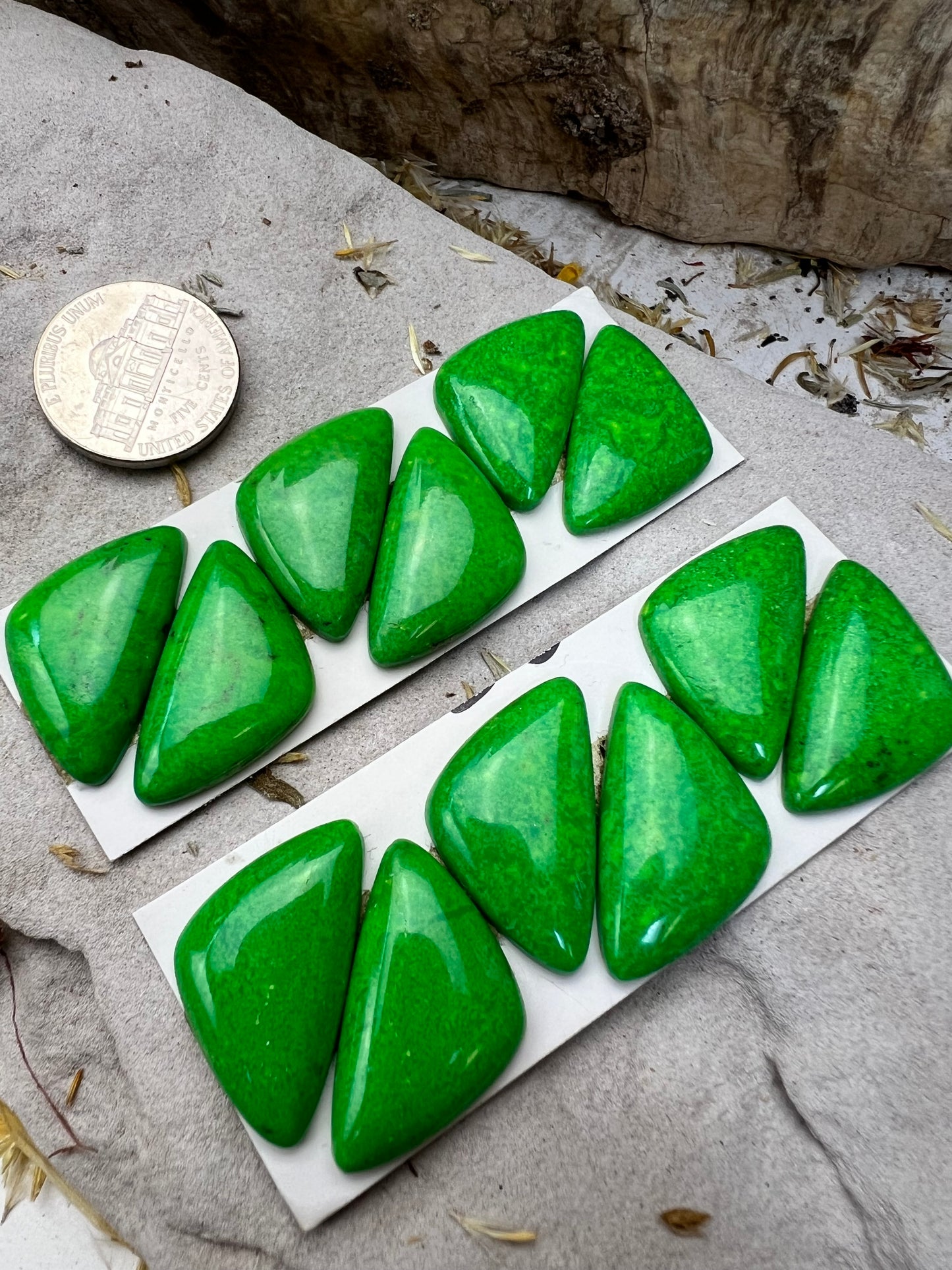 Mojave Green Cabs