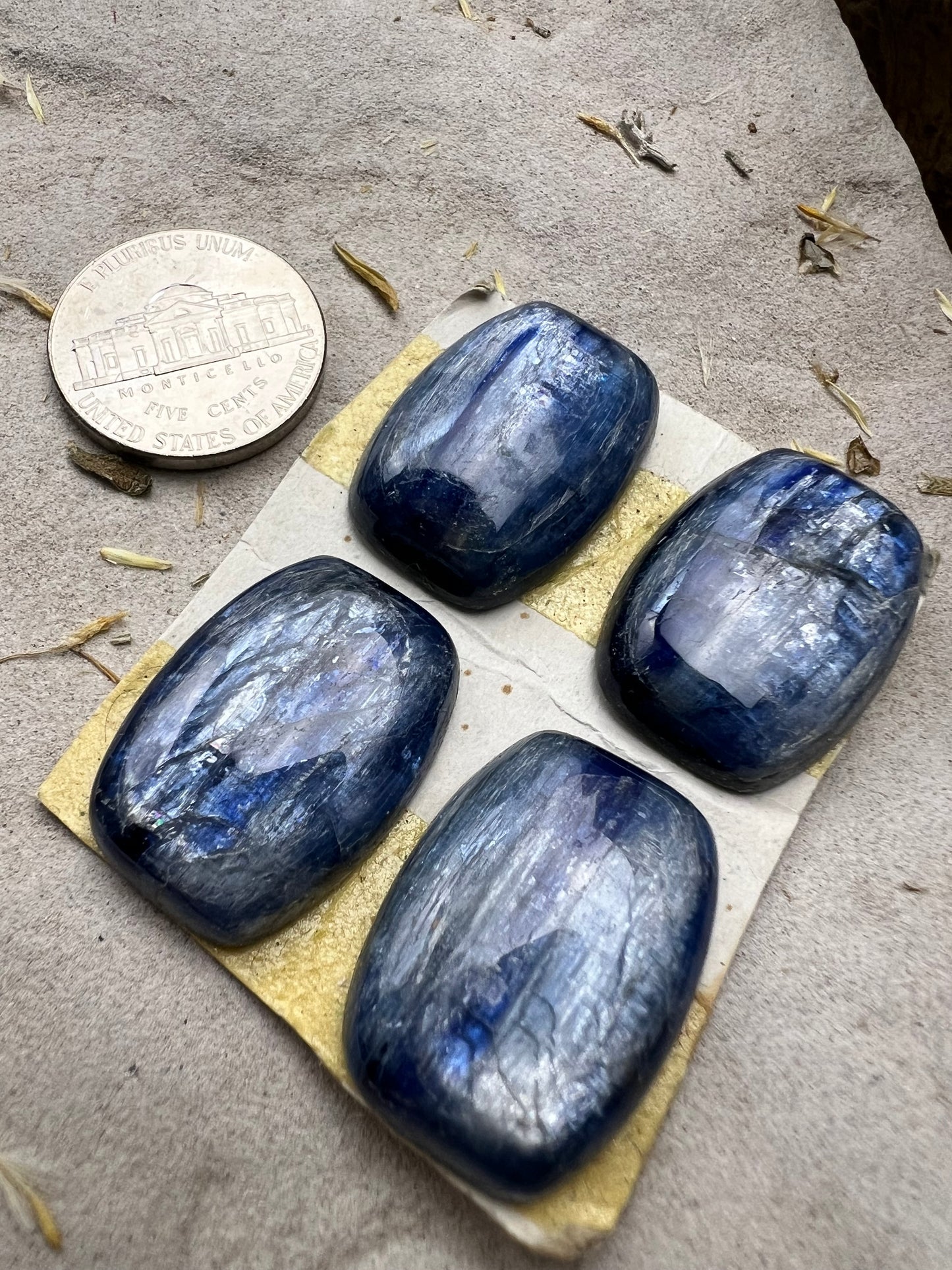 Kyanite Cabochon Lot