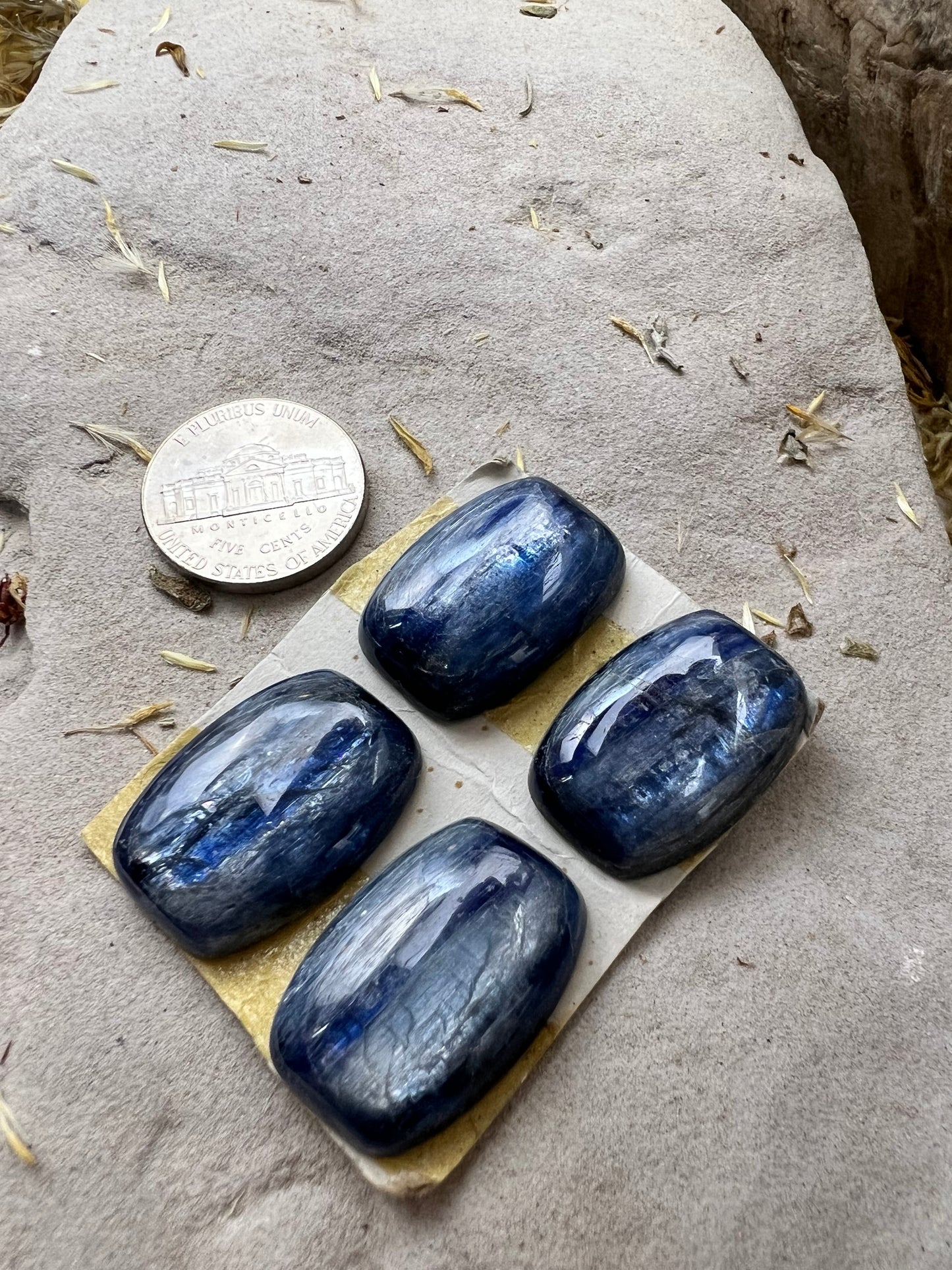 Kyanite Cabochon Lot