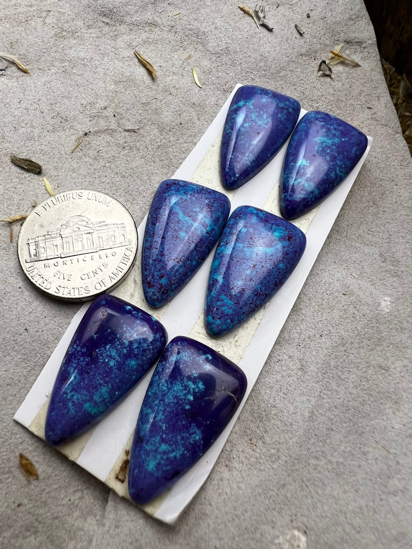 Mojave Purple Cabs