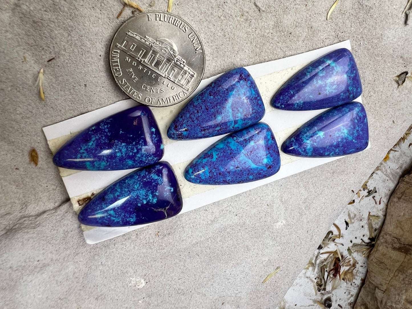 Mojave Purple Cabs