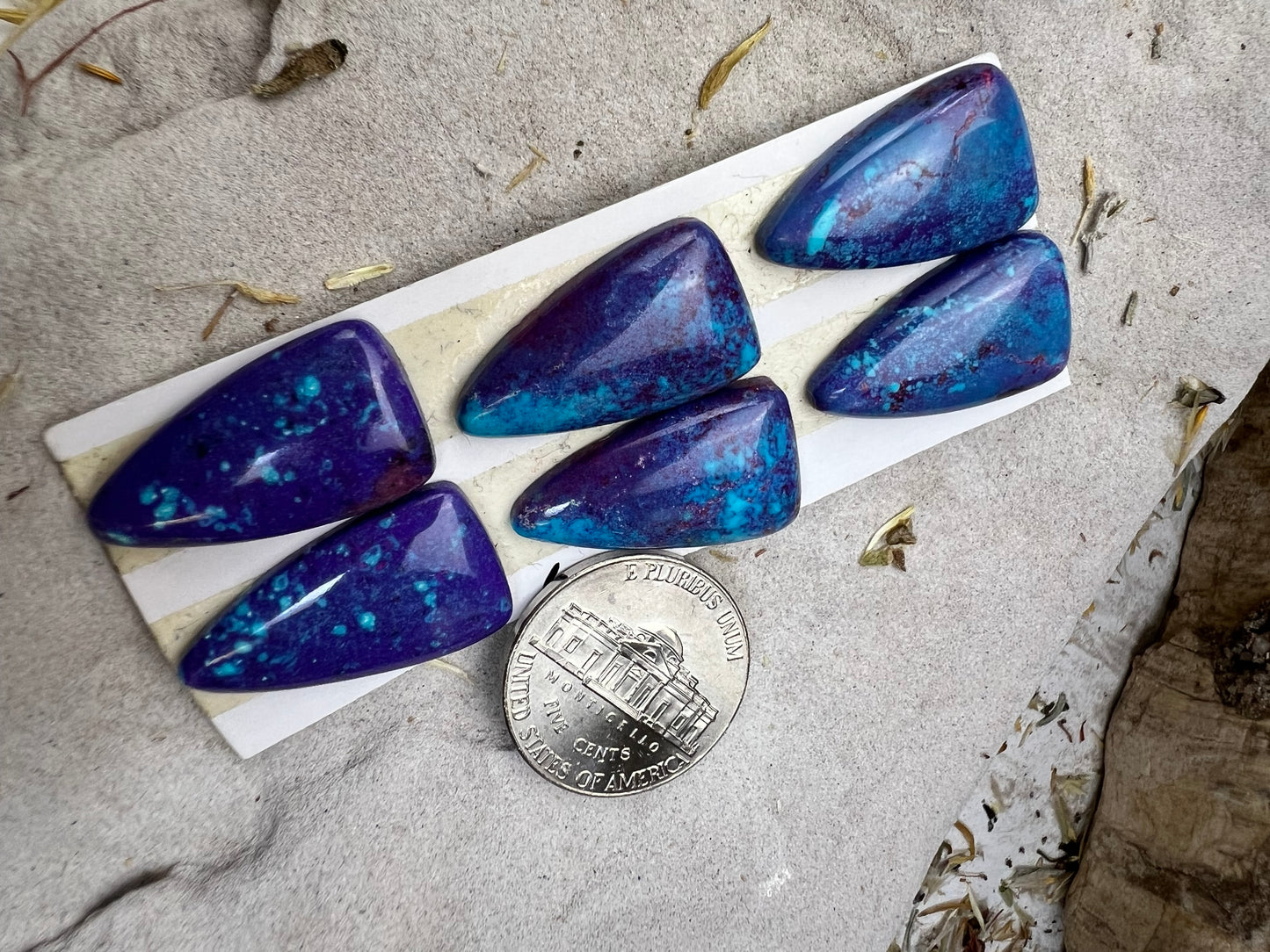 Mojave Purple Cabs