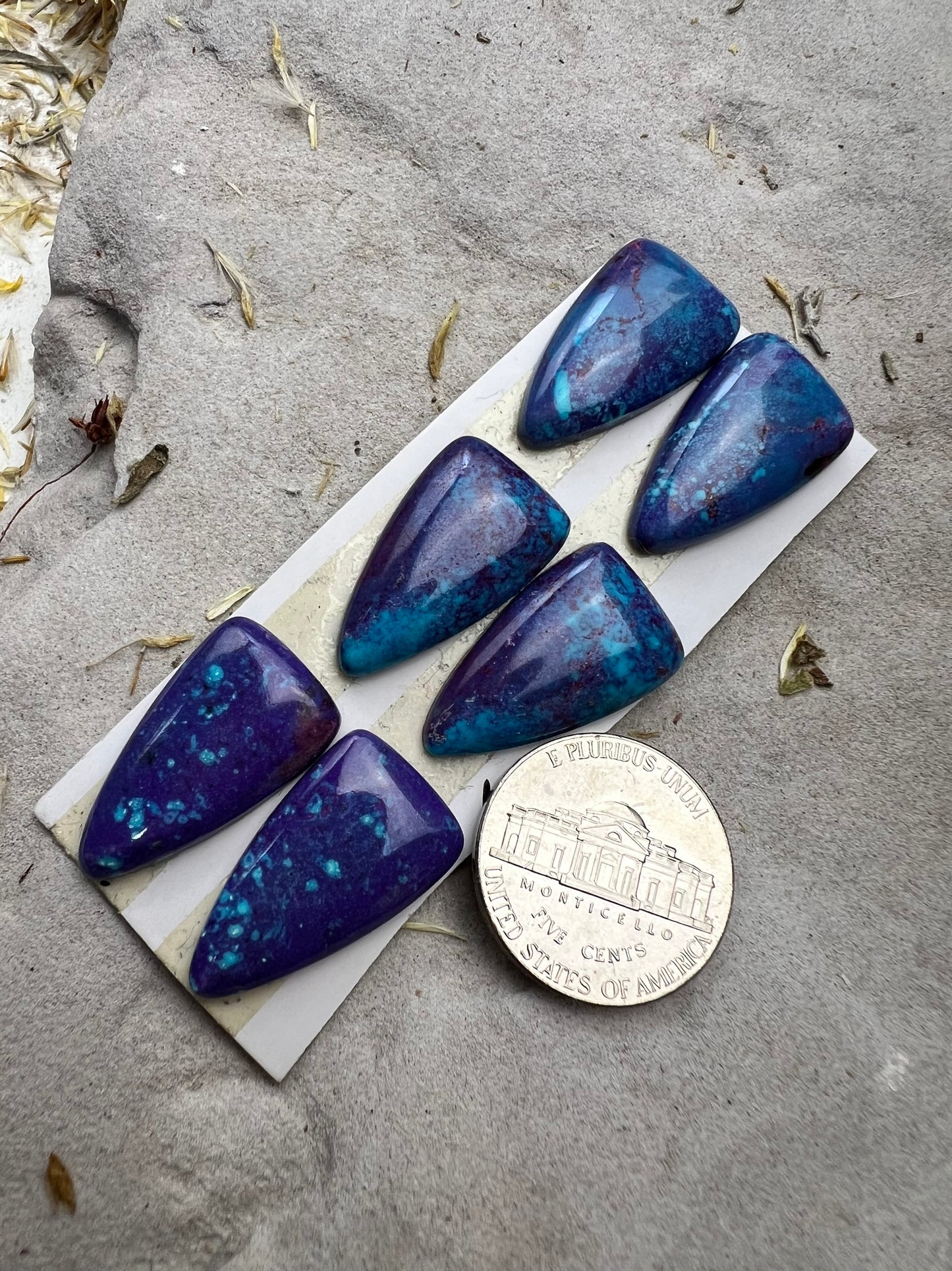 Mojave Purple Cabs