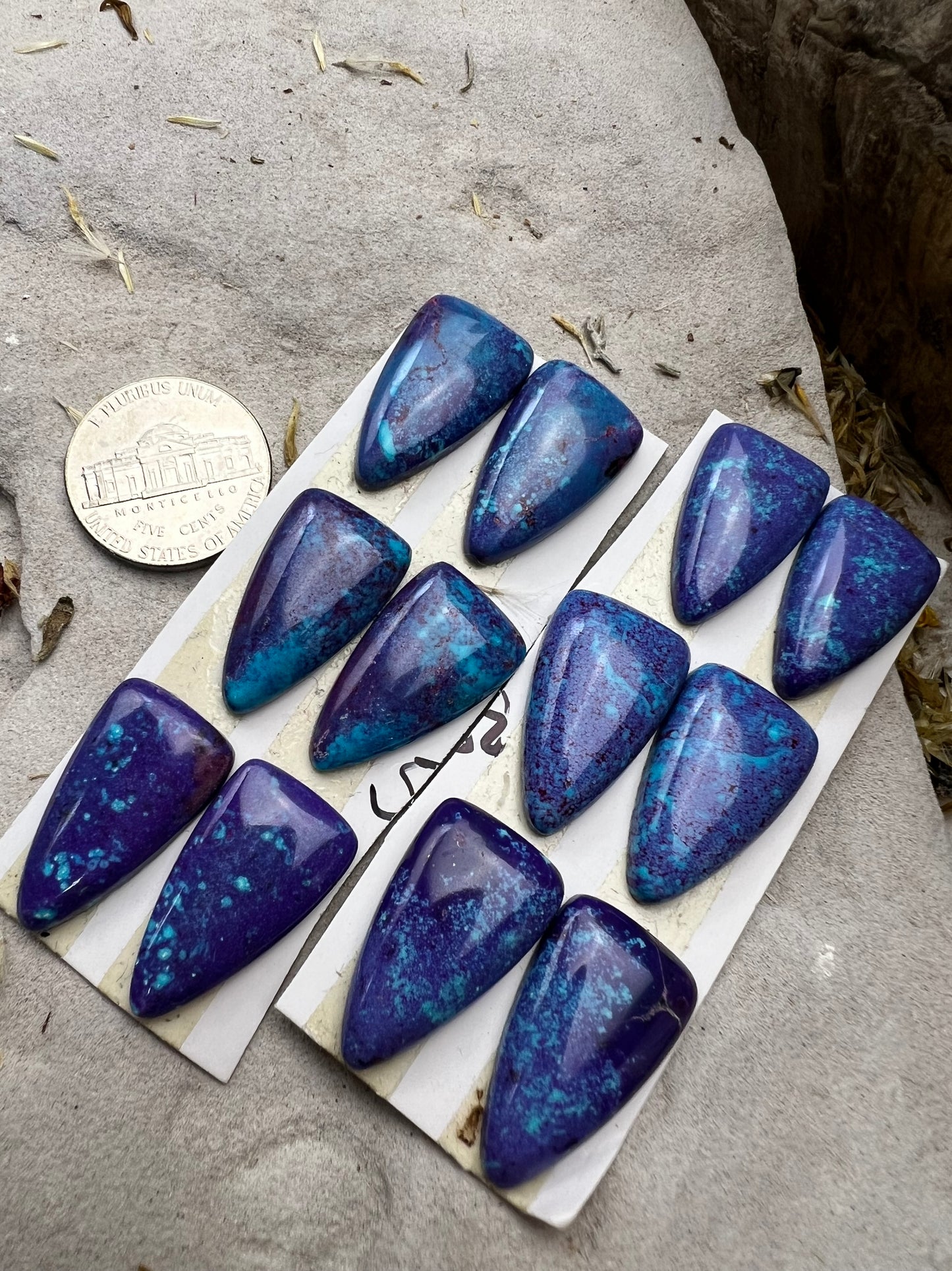 Mojave Purple Cabs