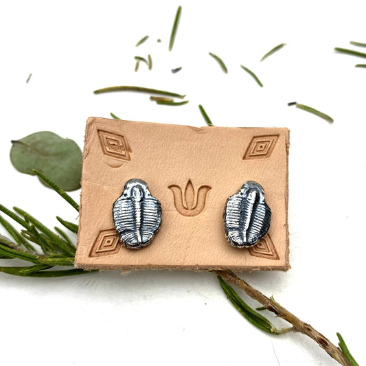 Trilobite Post Earrings