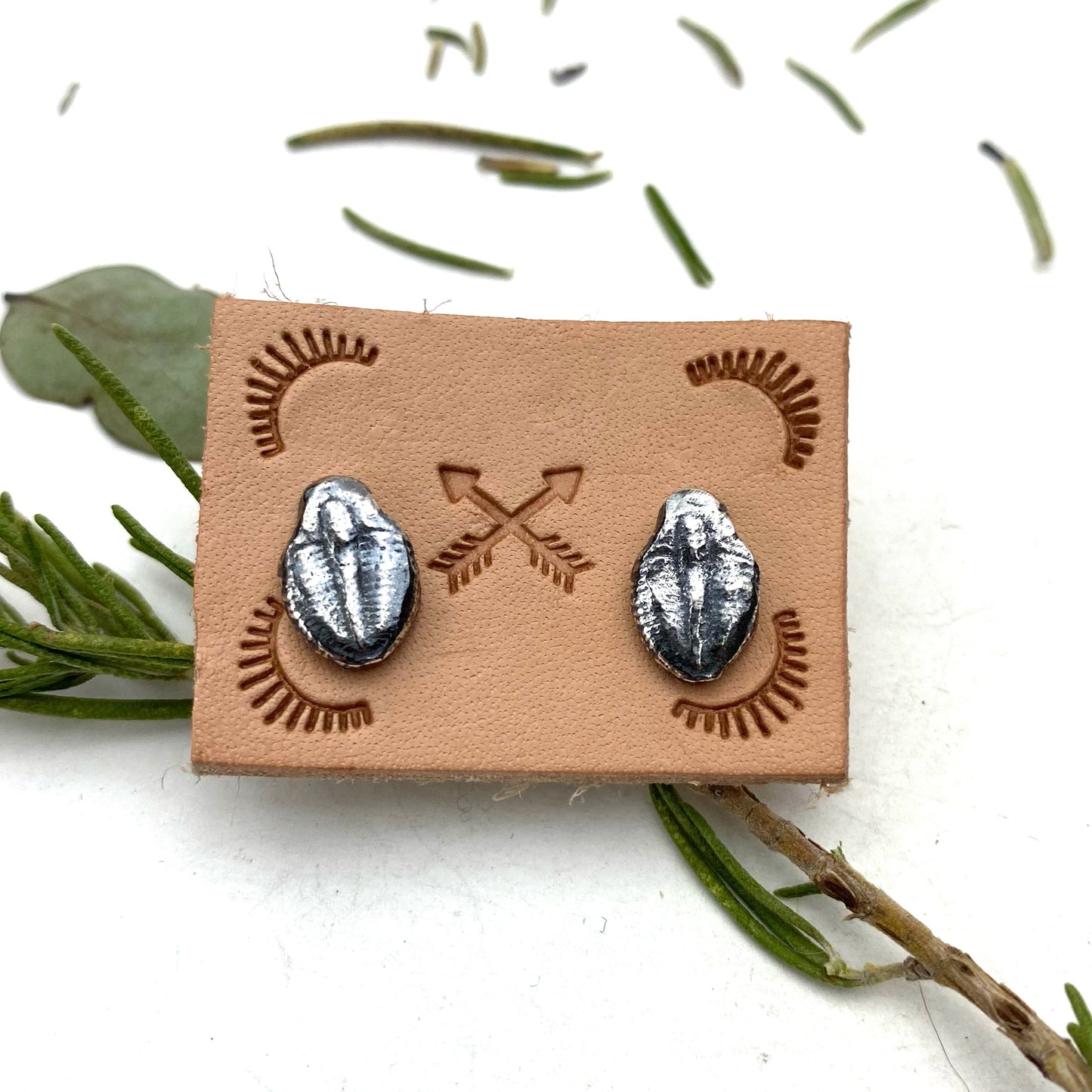 Trilobite Post Earrings